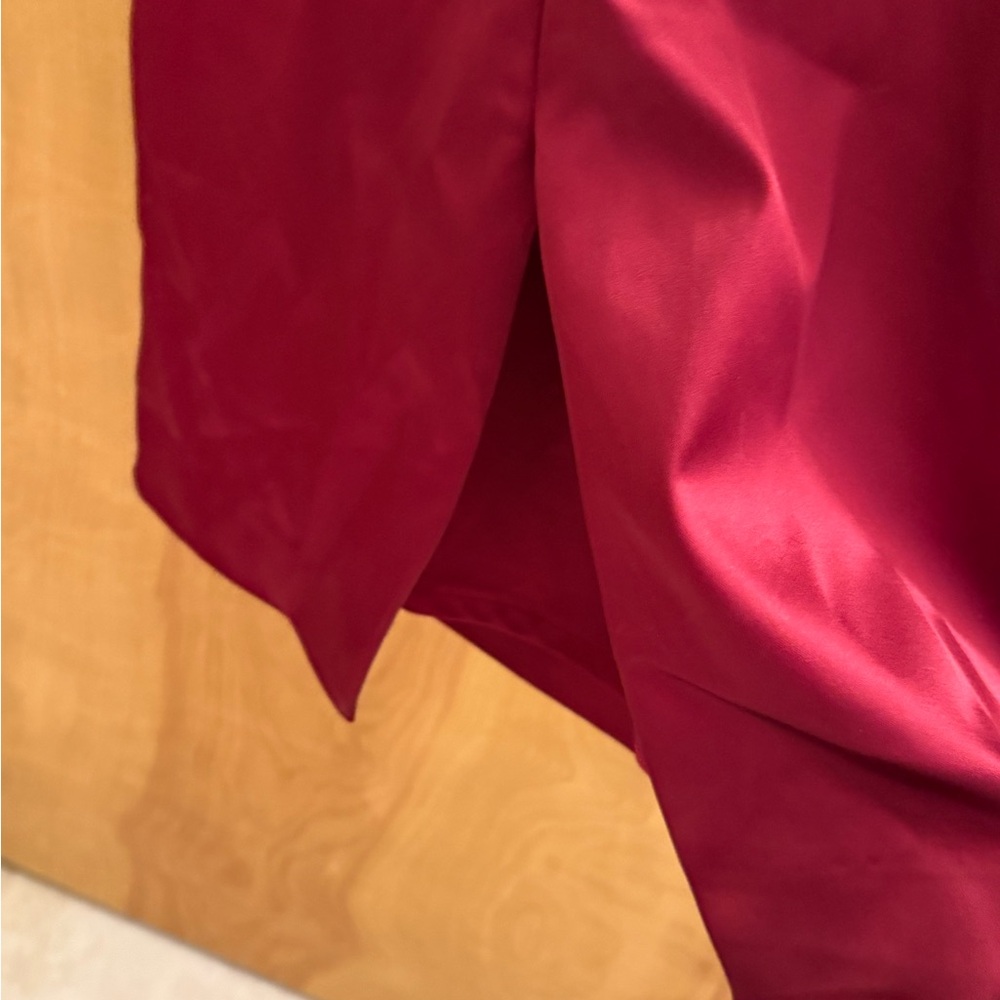 Cache Red Asymmetrical Ruched Sheath Dress - Picture 3 of 4